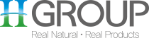 H Group logo